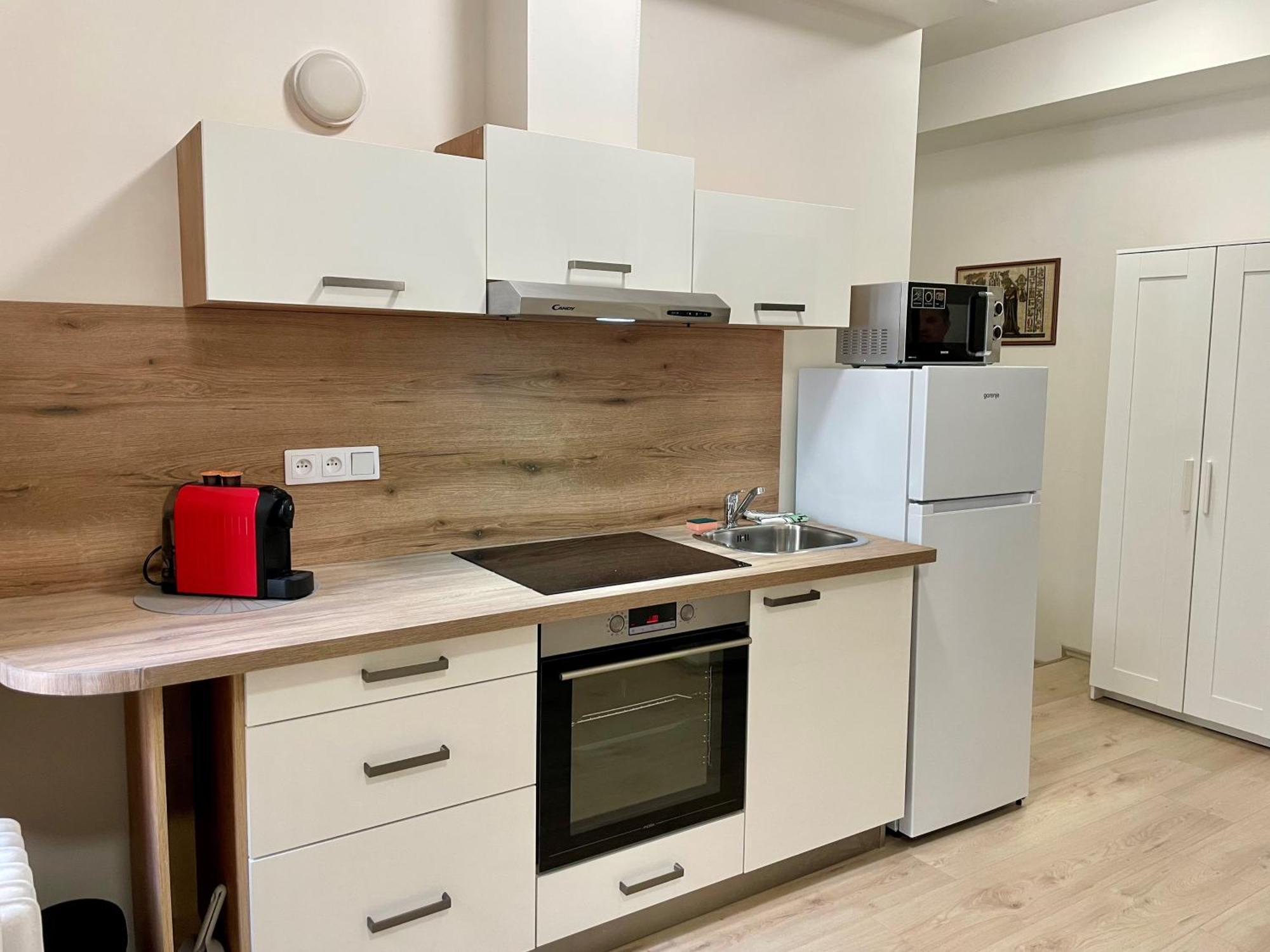 Апартаменти Apartman Josefska Брно Екстер'єр фото